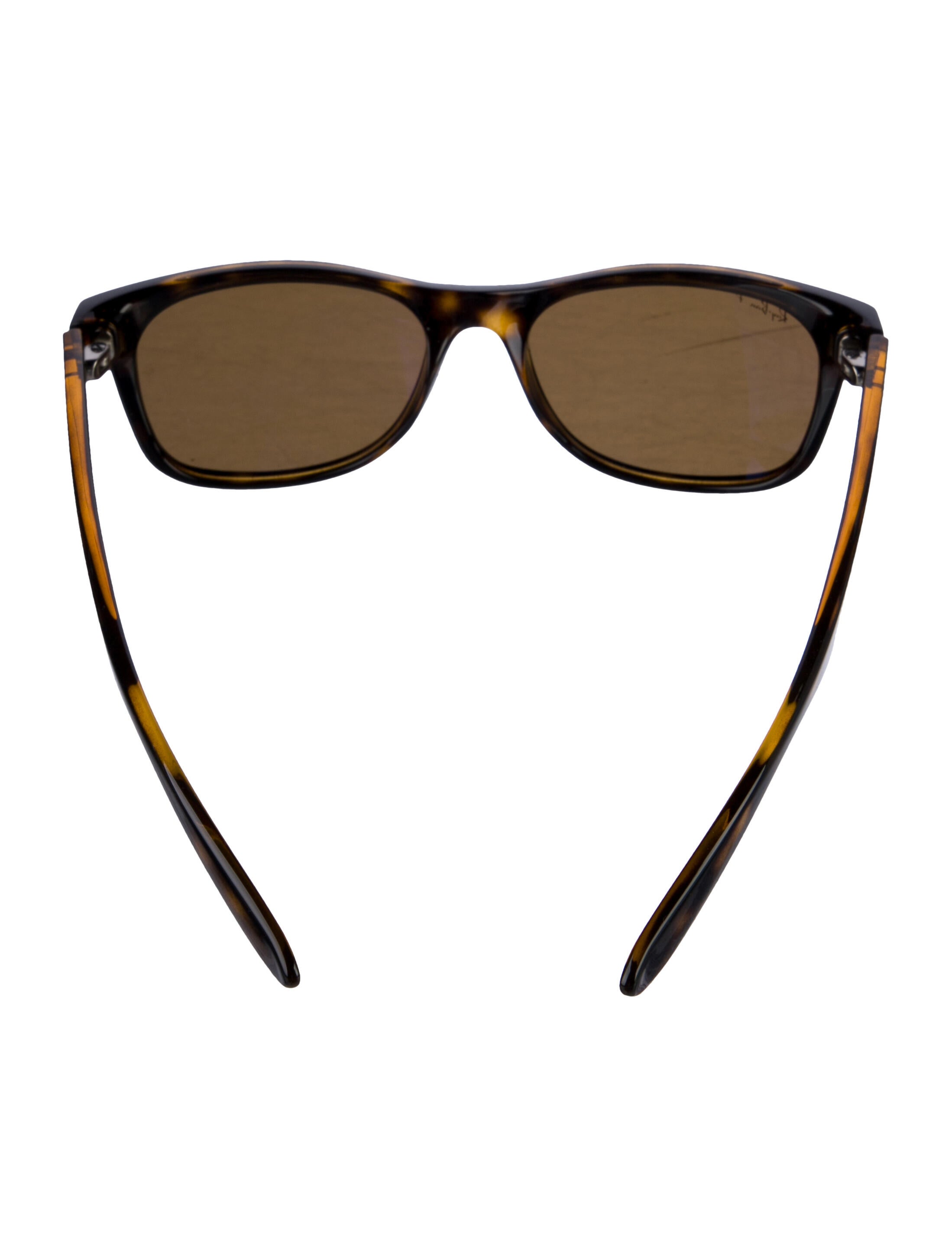 Ray-Ban Wayfarer Tinted Sunglasses
