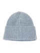 Carhartt WIP x Sacai Ribbed Beanie
