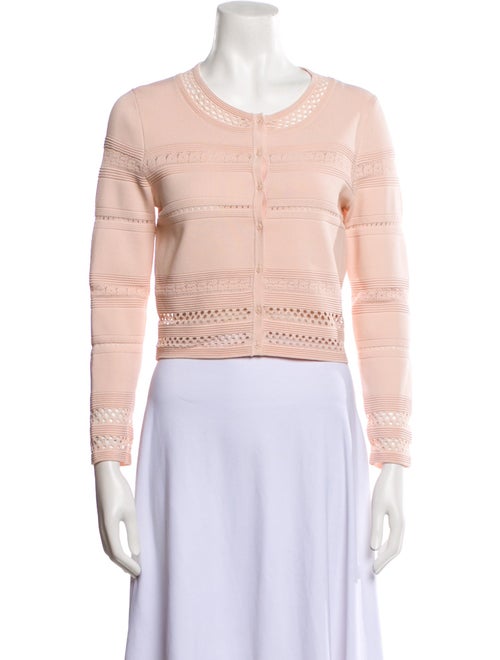 Sandro Crew Neck Long Sleeve Crop Top