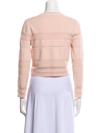 Sandro Crew Neck Long Sleeve Crop Top