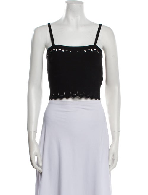 Sandro Square Neckline Sleeveless Crop Top