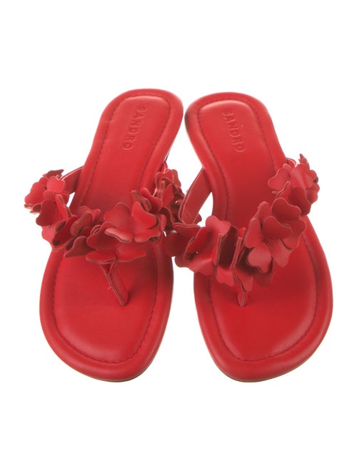 Sandro Leather Floral Print Slides
