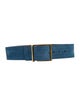 Sandro Suede Belt