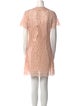 Sandro Lace Mini Dress