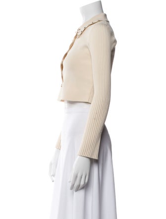 Sandro Long Sleeve Crop Top