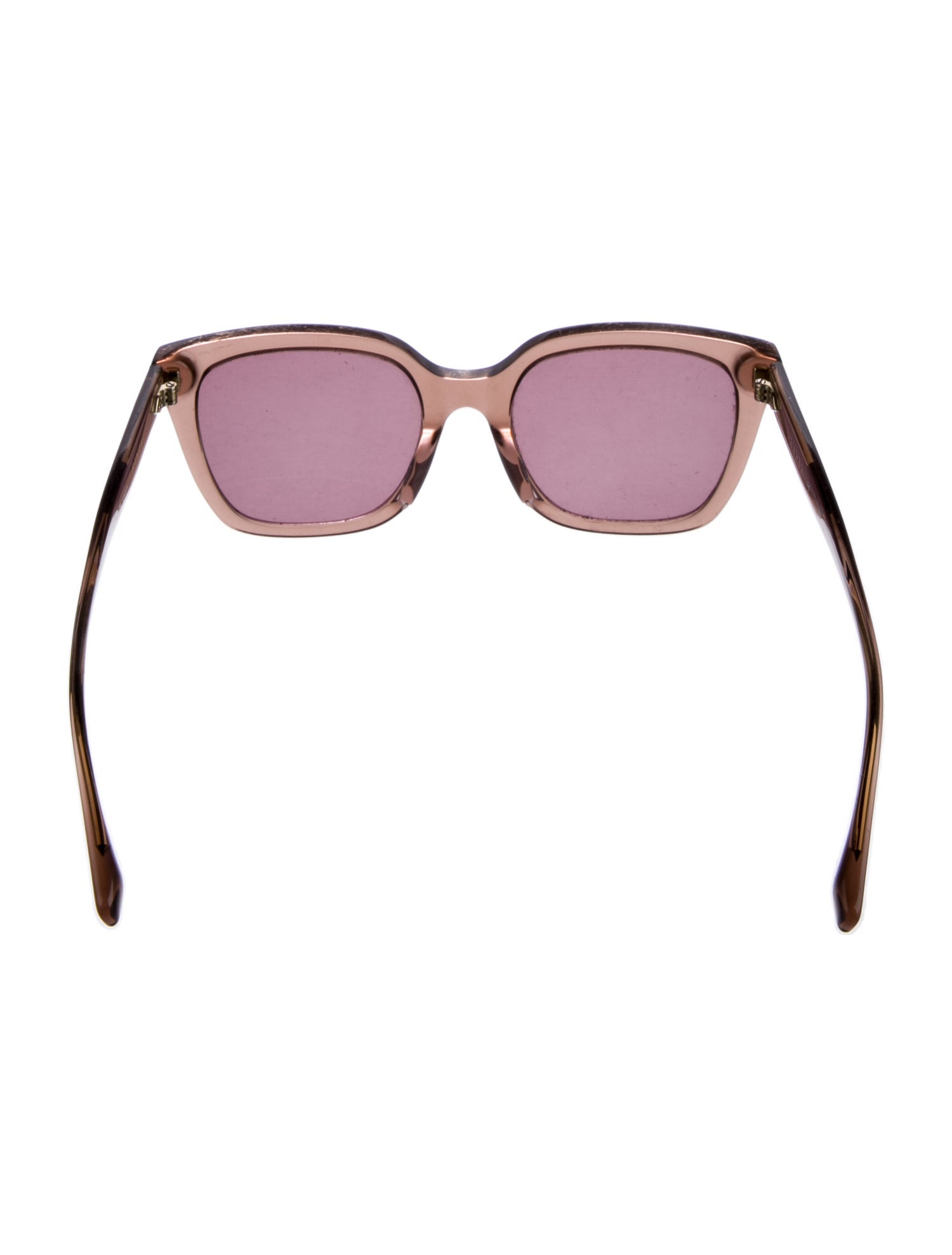 Sandro Wayfarer Tinted Sunglasses