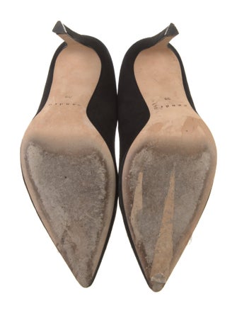 Sandro Suede Pumps