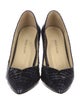 Sarah Flint Patent Leather Animal Print Pumps