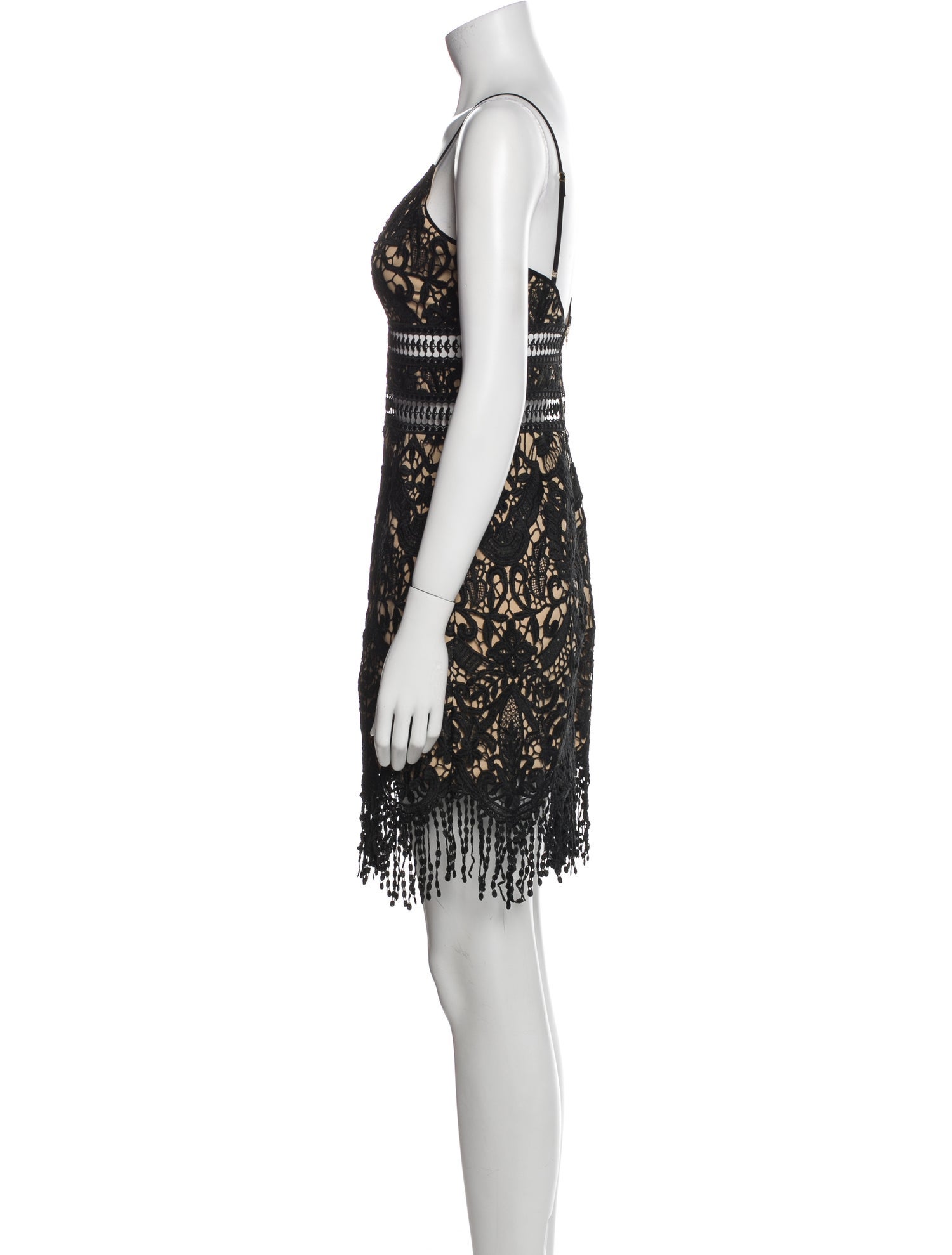 Saylor Lace Pattern Mini Dress