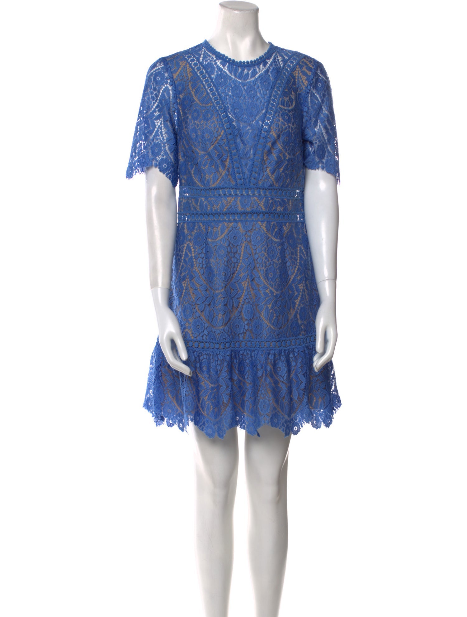 Saylor Lace Pattern Mini Dress