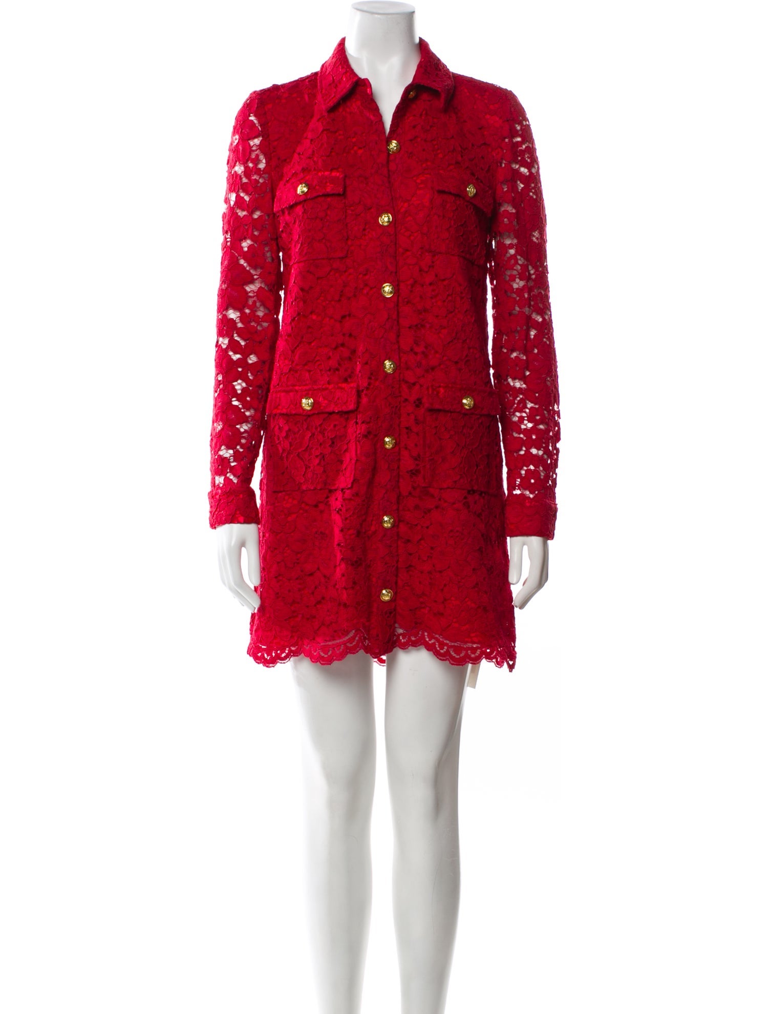 Saylor Lace Pattern Mini Dress