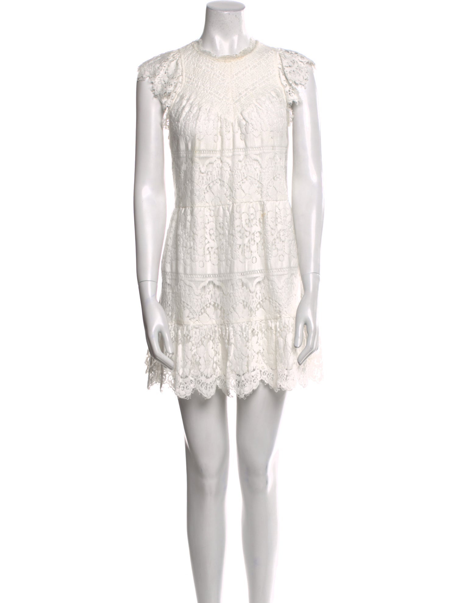 Saylor Lace Pattern Mini Dress