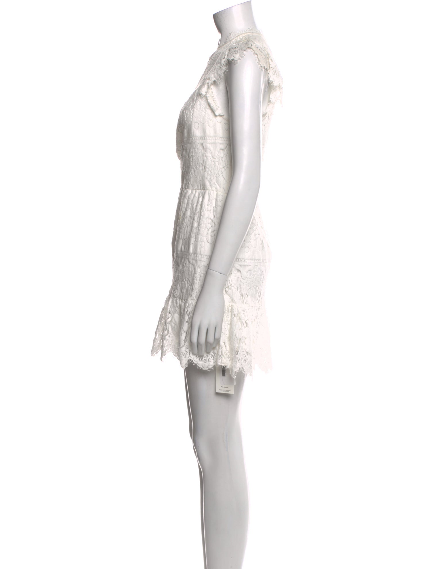 Saylor Lace Pattern Mini Dress