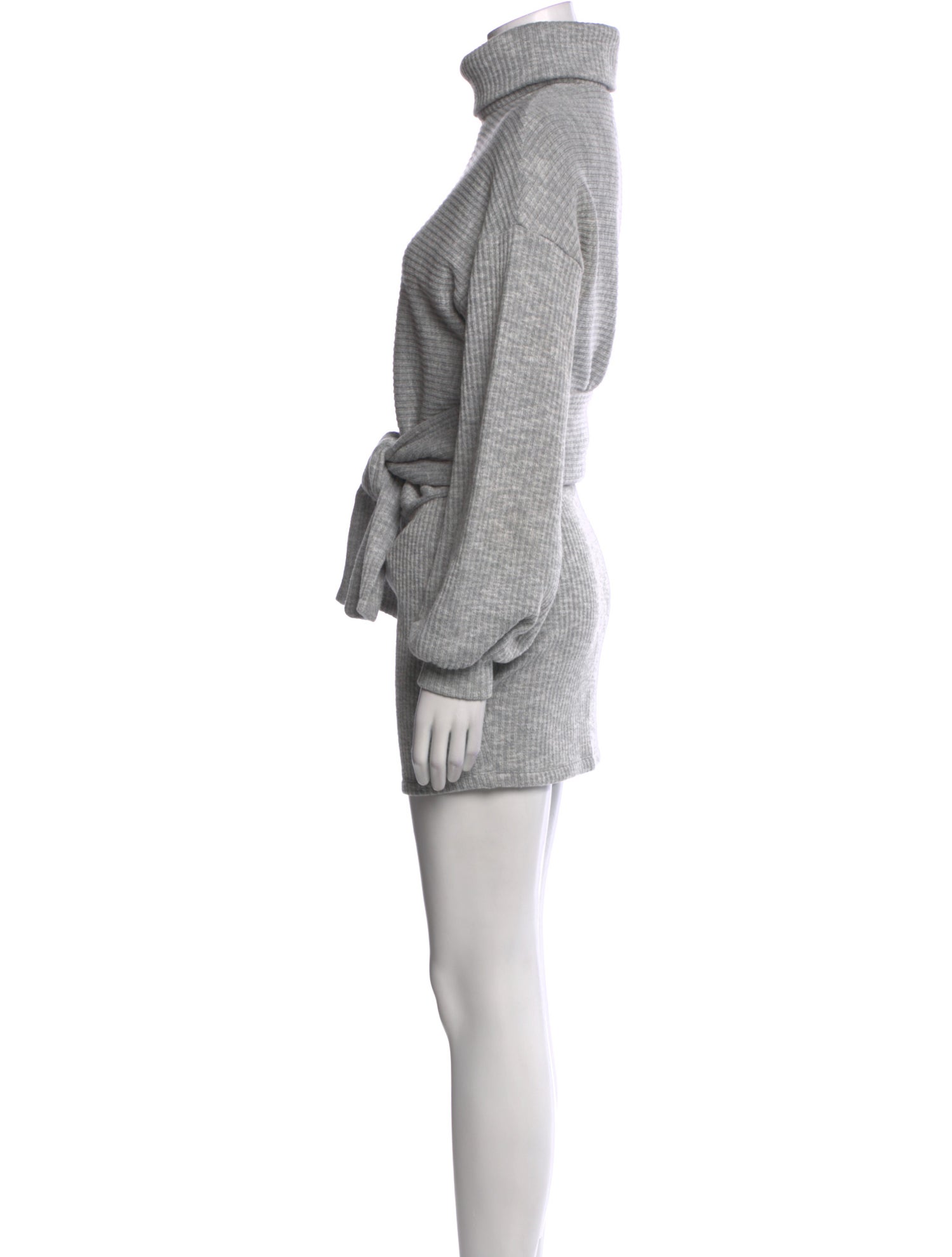 Saylor Turtleneck Mini Dress