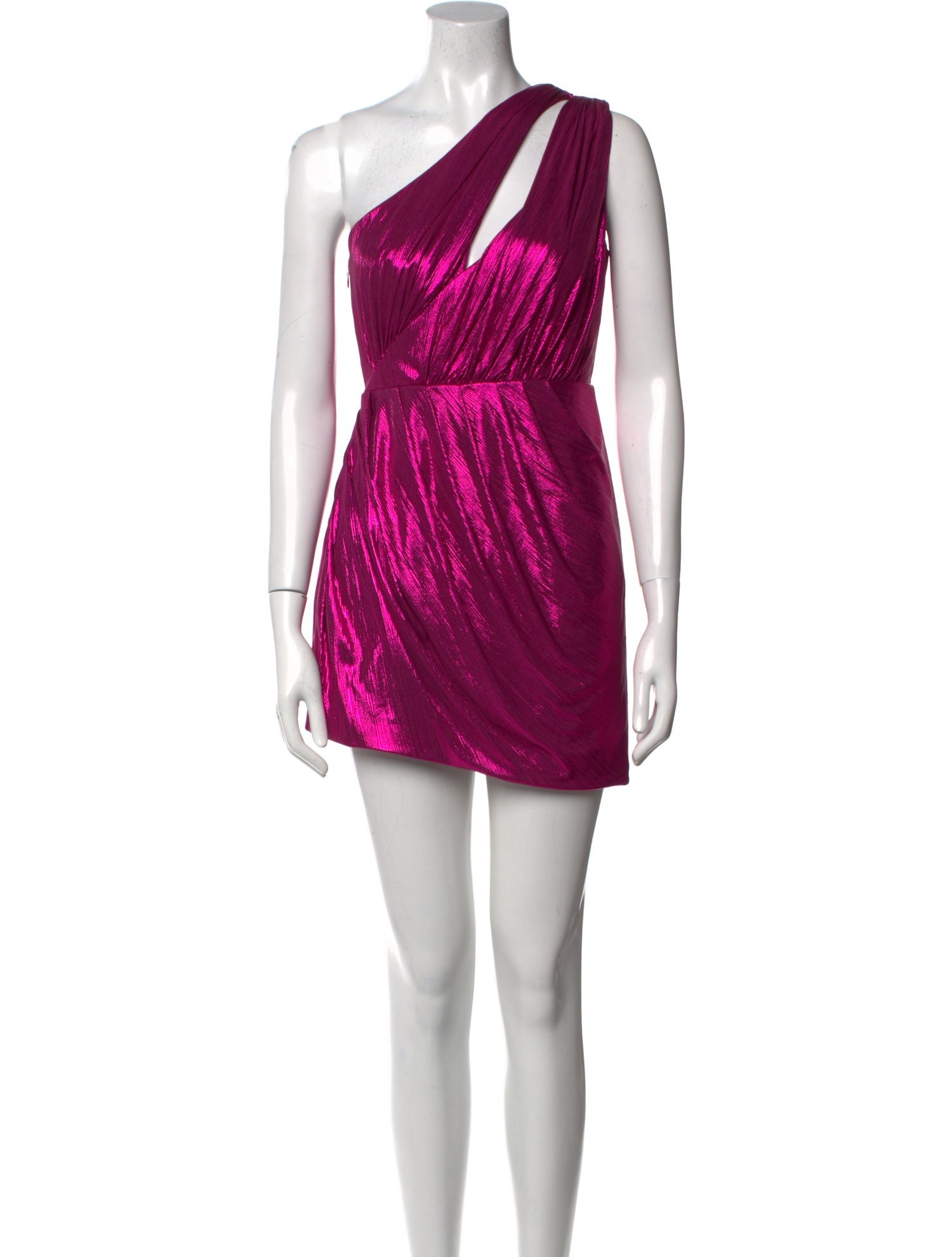 San Carlin Printed Mini Dress