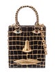 Schiaparelli Alligator Top Handle Bag Mini 2023