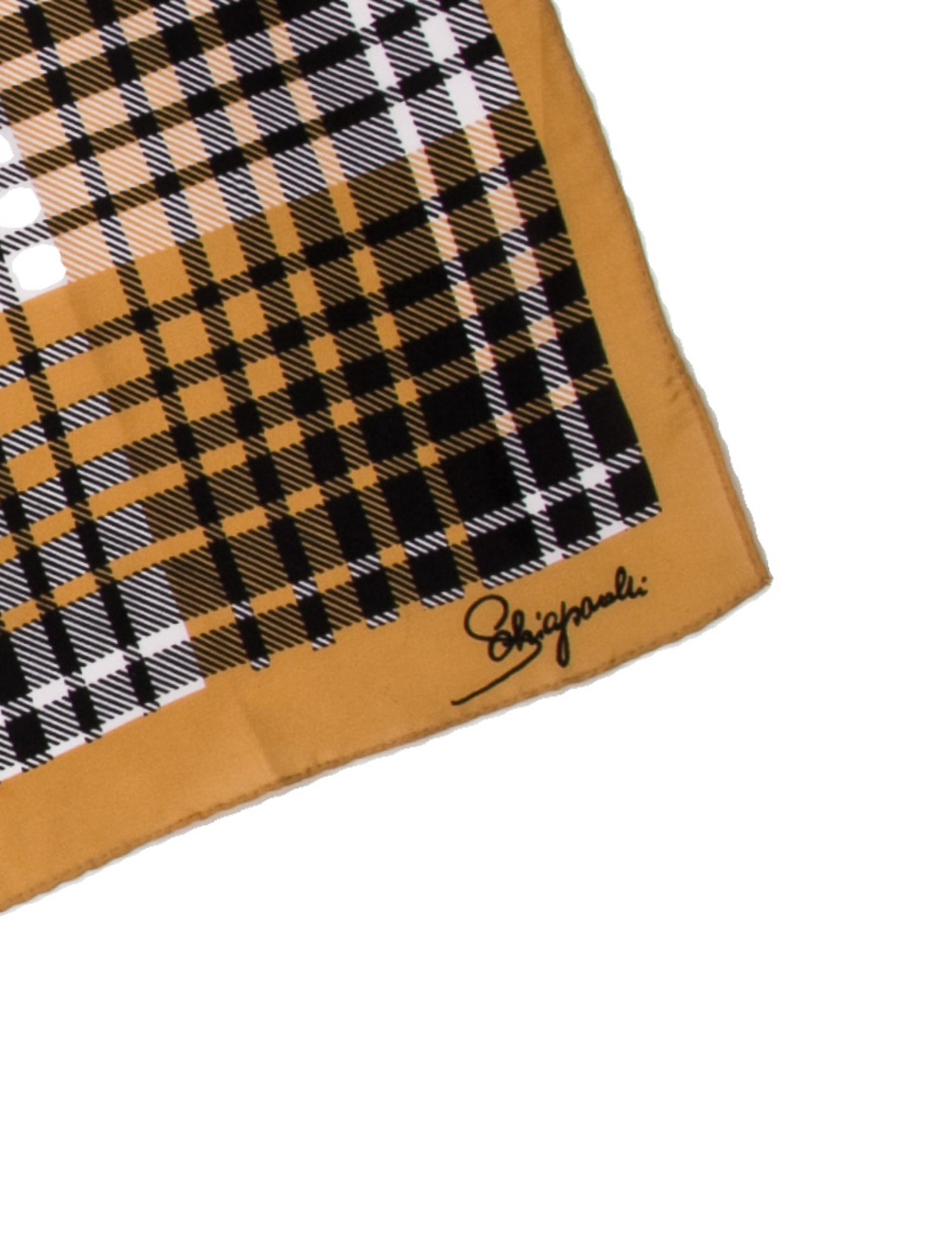 Schiaparelli Silk Printed Scarf