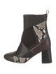 See by Chloé Leather Animal Print Chelsea Boots