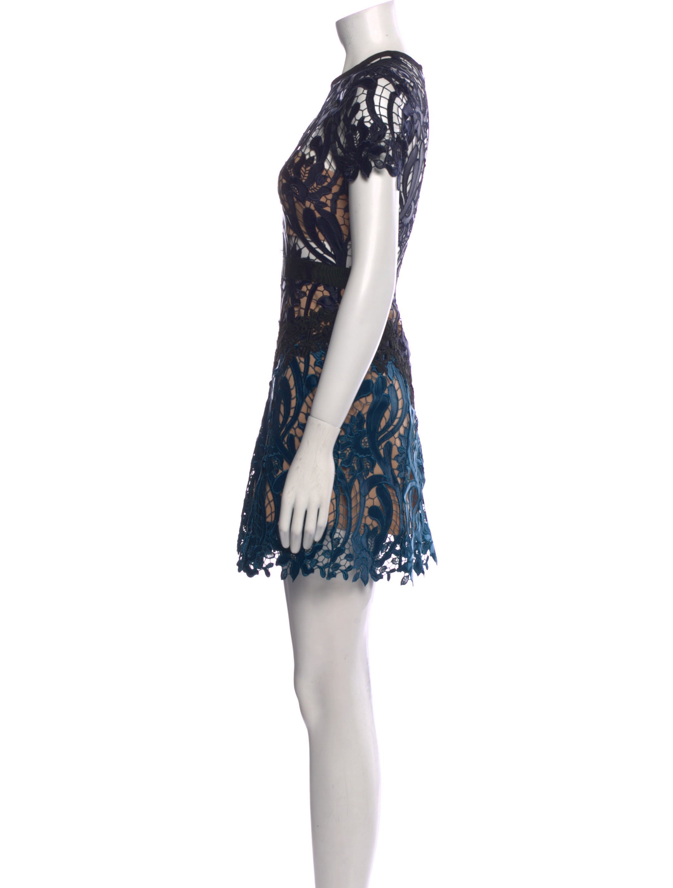 self portrait prairie mini dress Self-Portrait Prairie Mini Dress