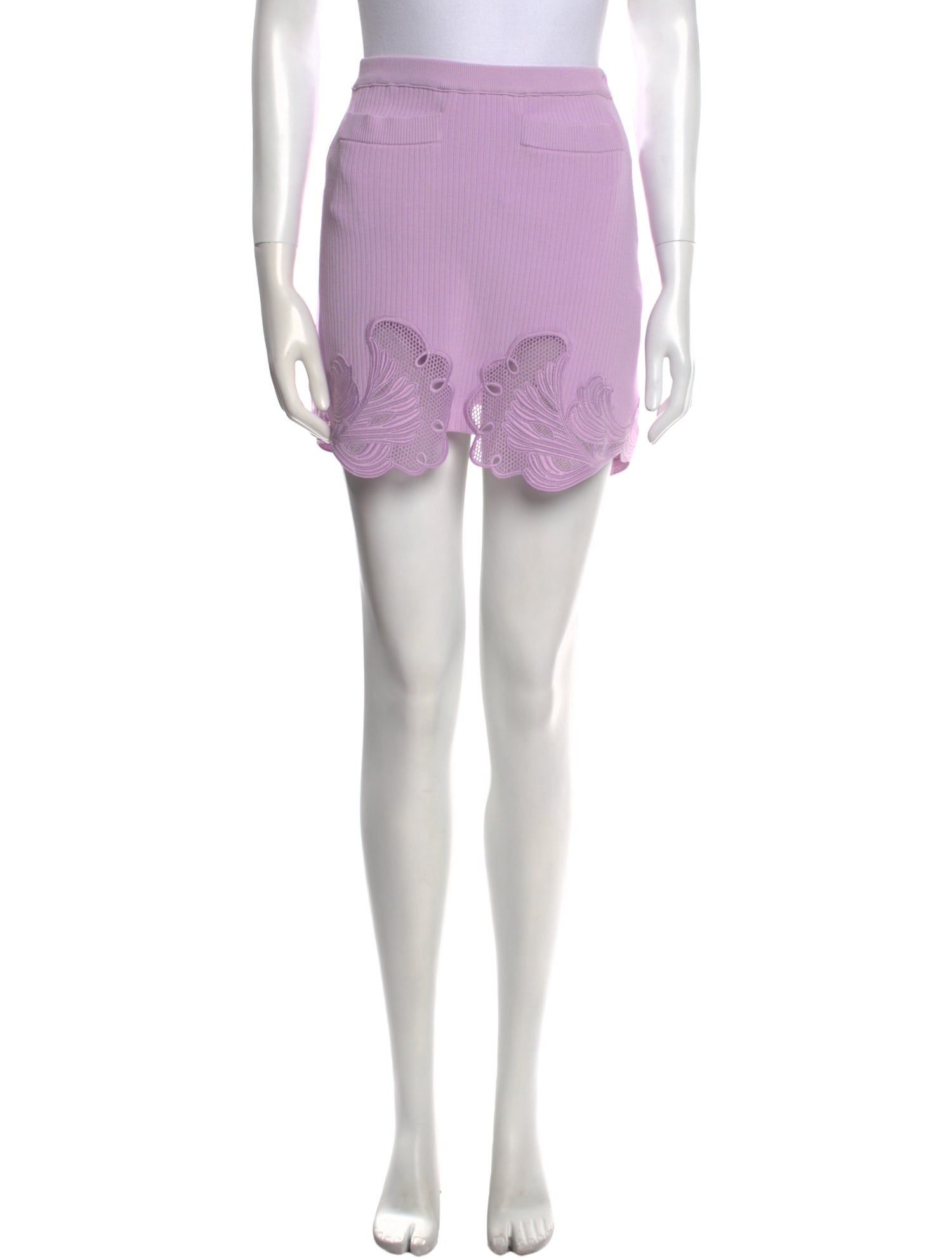 Self-Portrait Embroidered Accent Mini Skirt