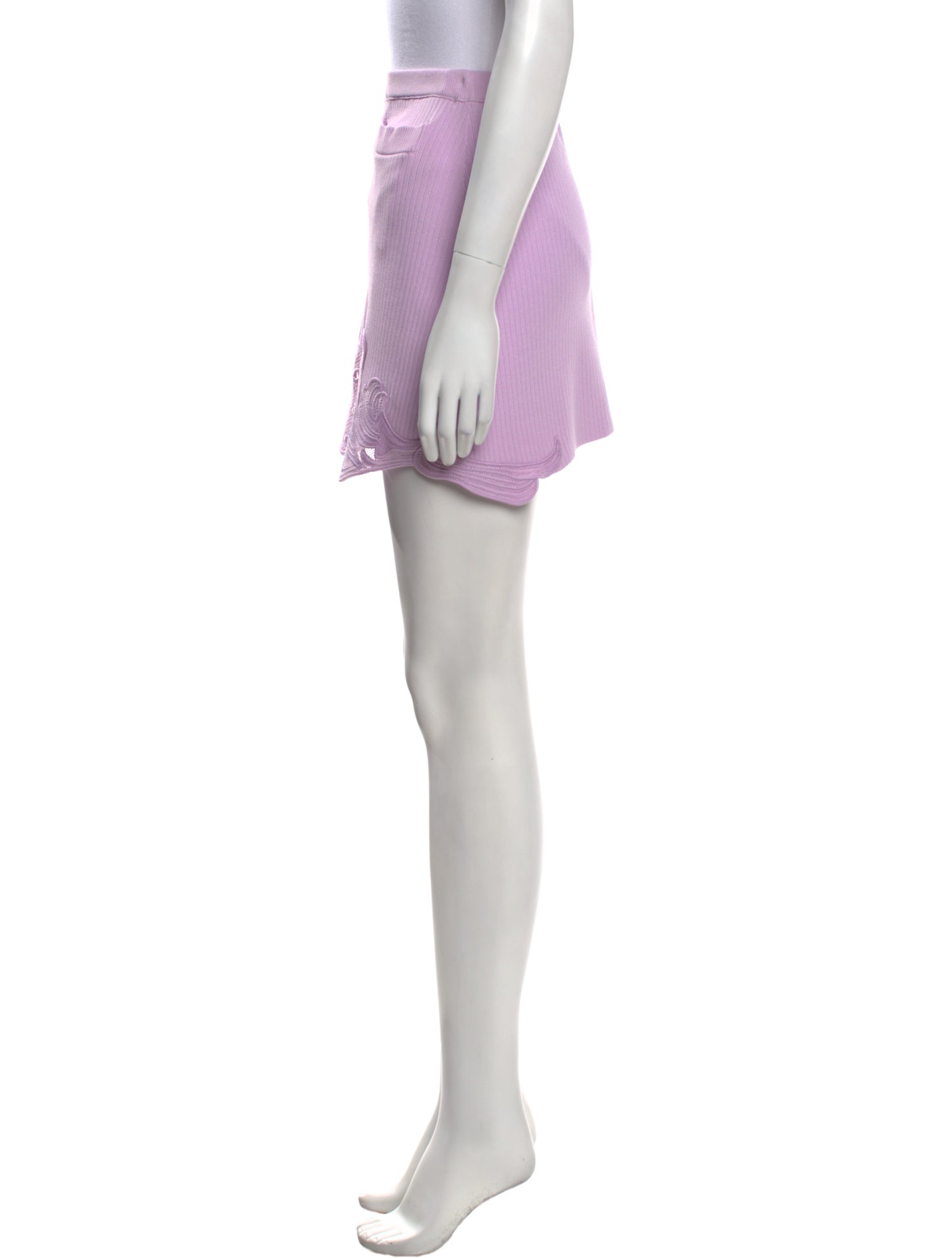 Self-Portrait Embroidered Accent Mini Skirt