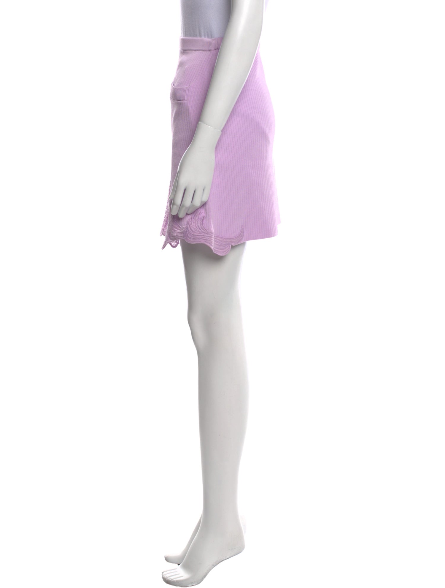 Self-Portrait Embroidered Accent Mini Skirt