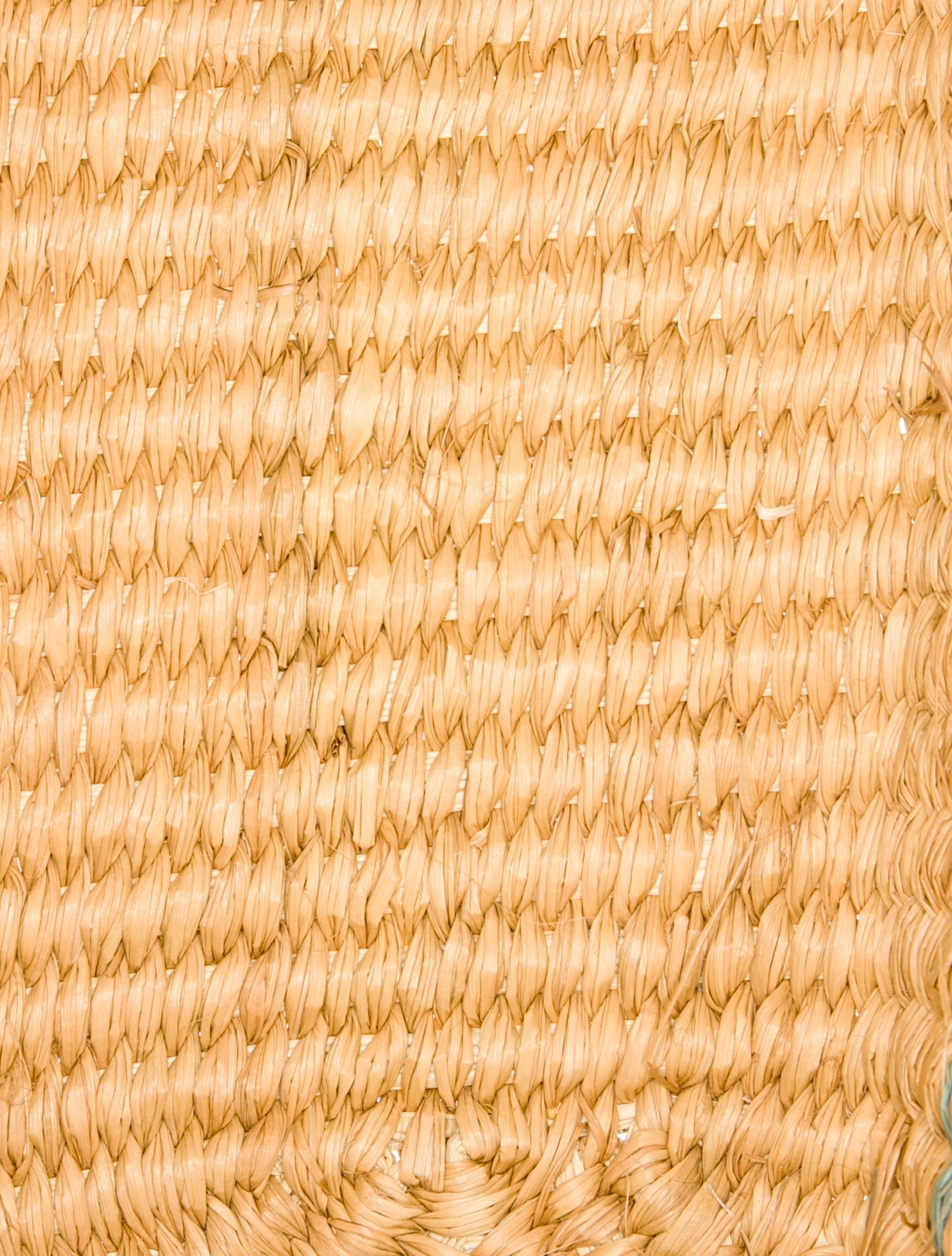 Sensi Studio Raffia Tote