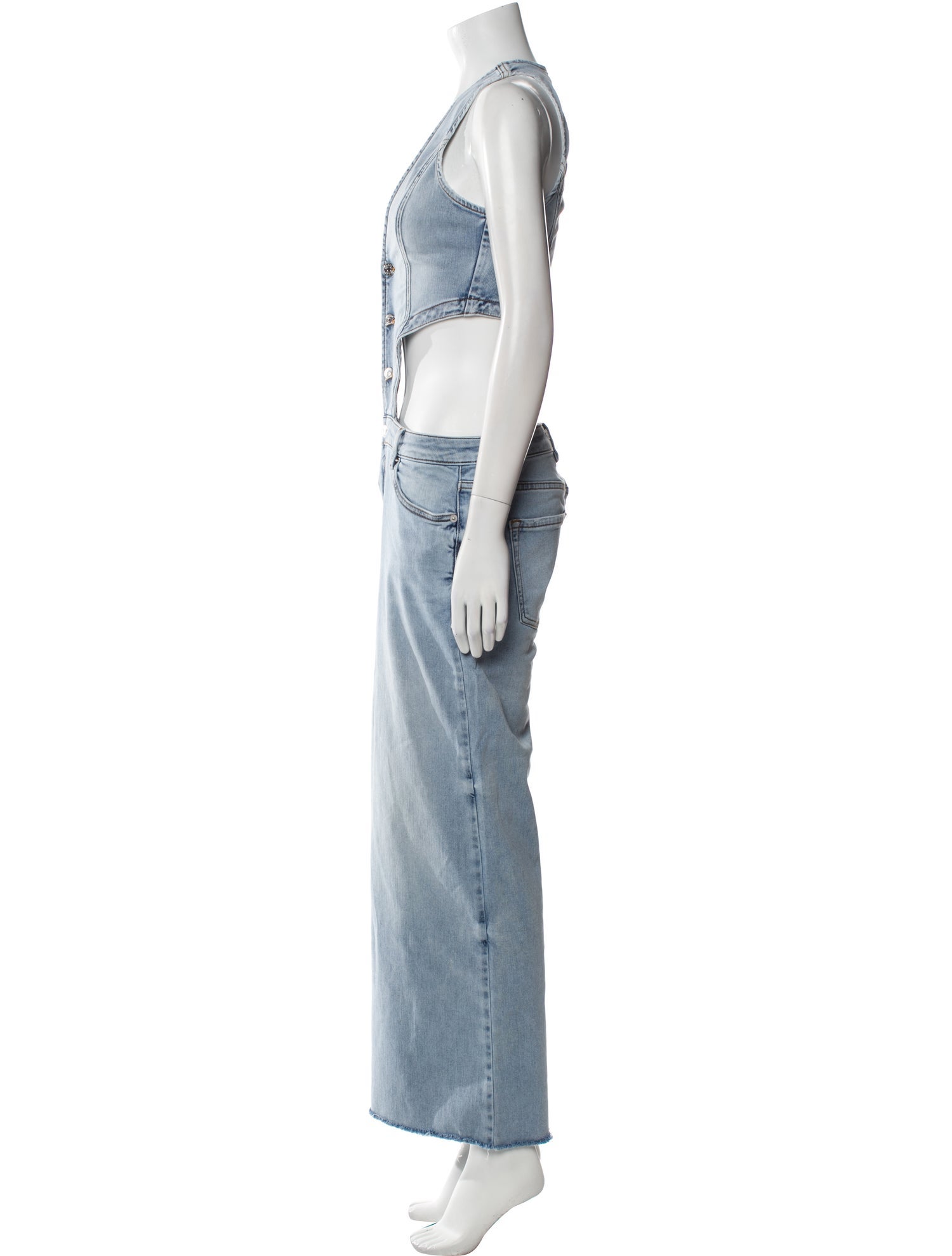 SER.O.YA Plunge Neckline Jumpsuit