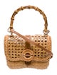 Serpui Raffia Top Handle Bag
