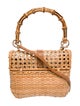 Serpui Raffia Top Handle Bag