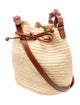 Sézane Raffia Bucket Bag
