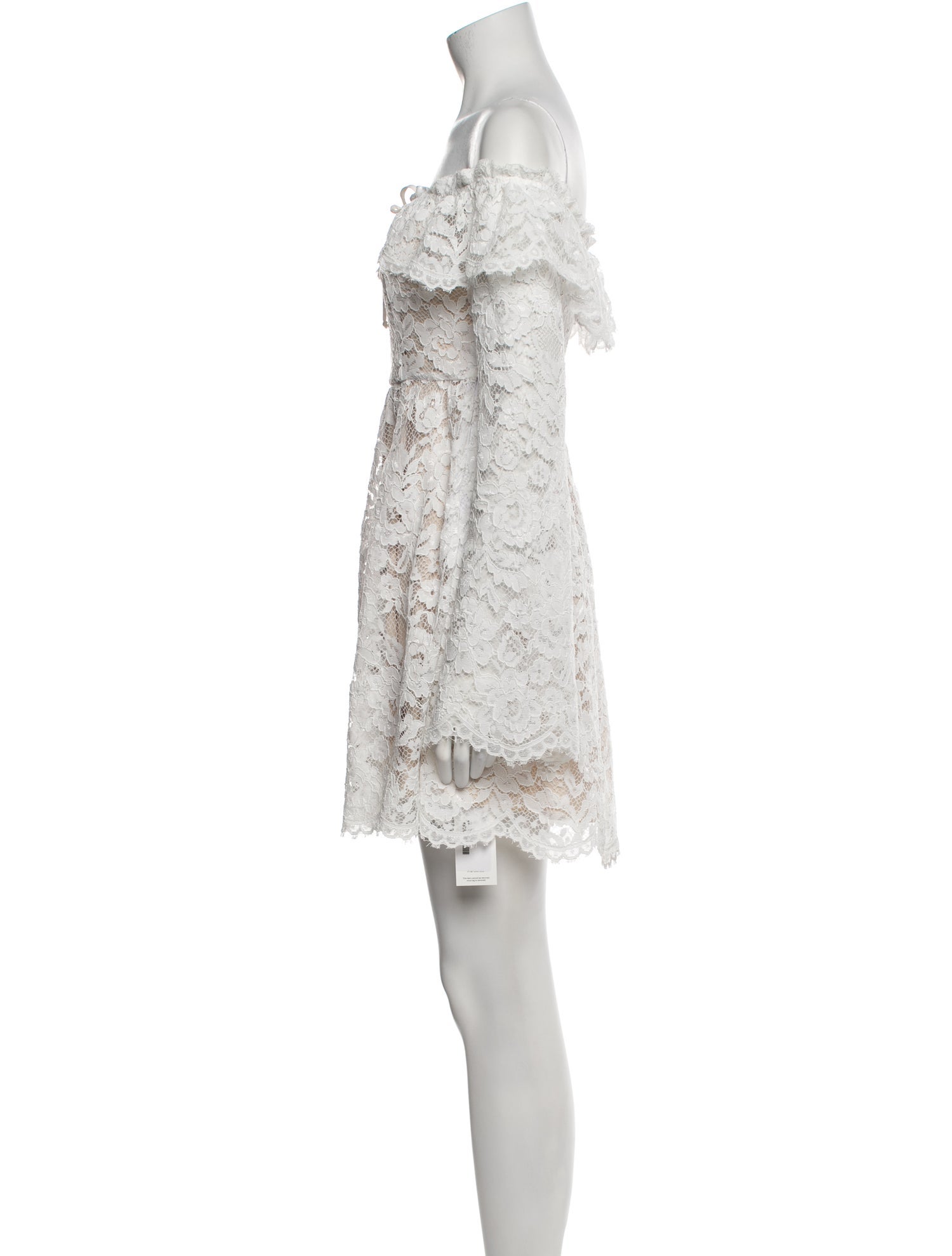 Stone Cold Fox Lace Pattern Mini Dress