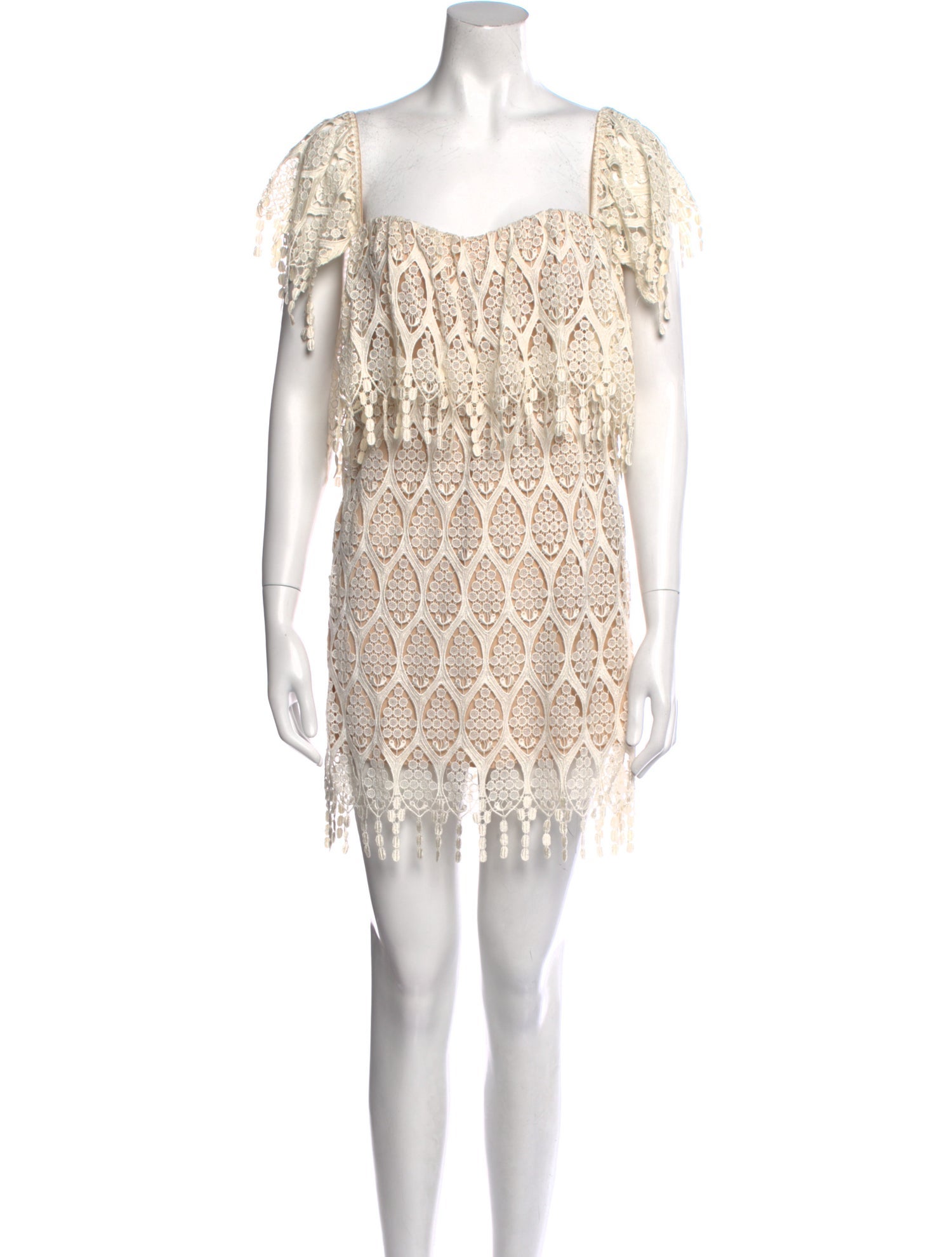 Stone Cold Fox Lace Pattern Mini Dress