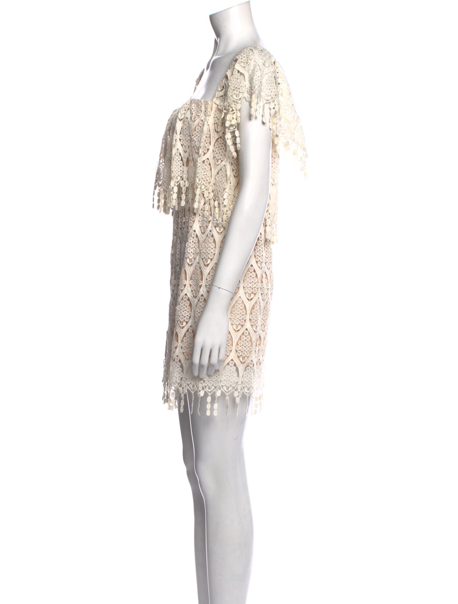 Stone Cold Fox Lace Pattern Mini Dress