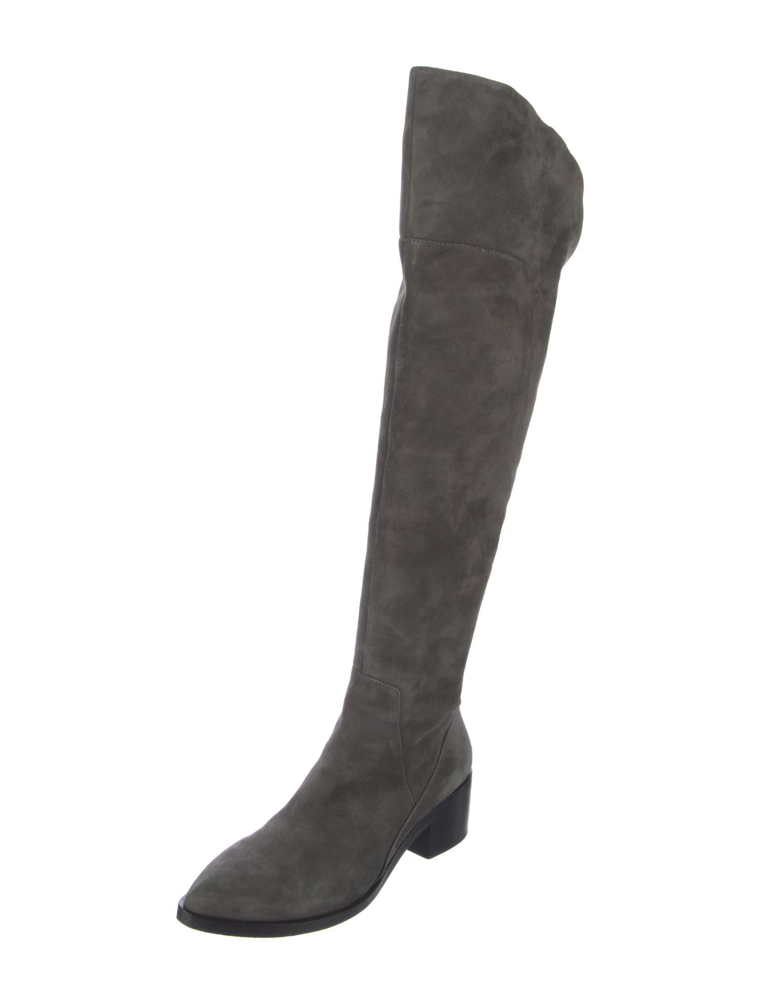 Sigerson Morrison Suede Riding Boots