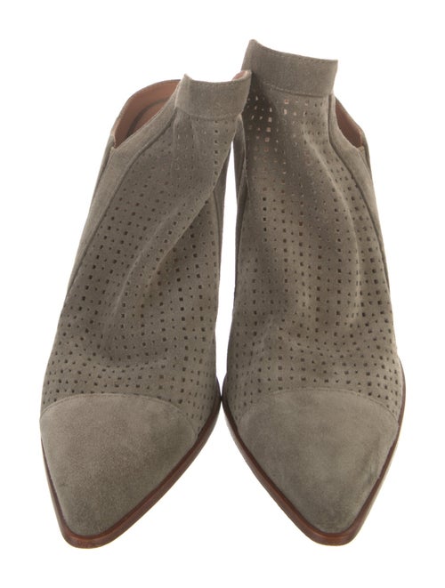 Sigerson Morrison Suede Mules