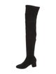 Sigerson Morrison Suede Sock Boots