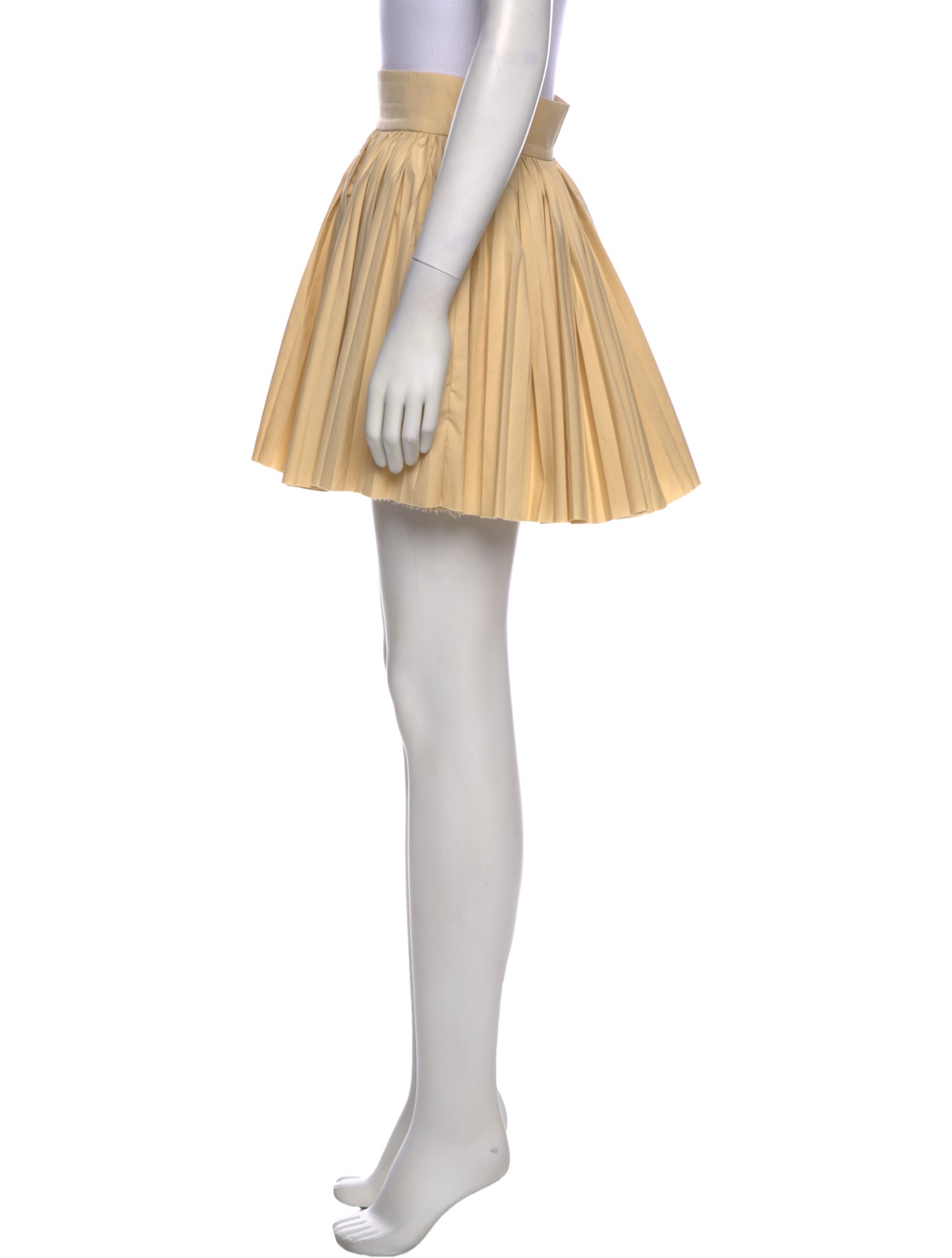 Shushu/tong Pleated Accents Skirt