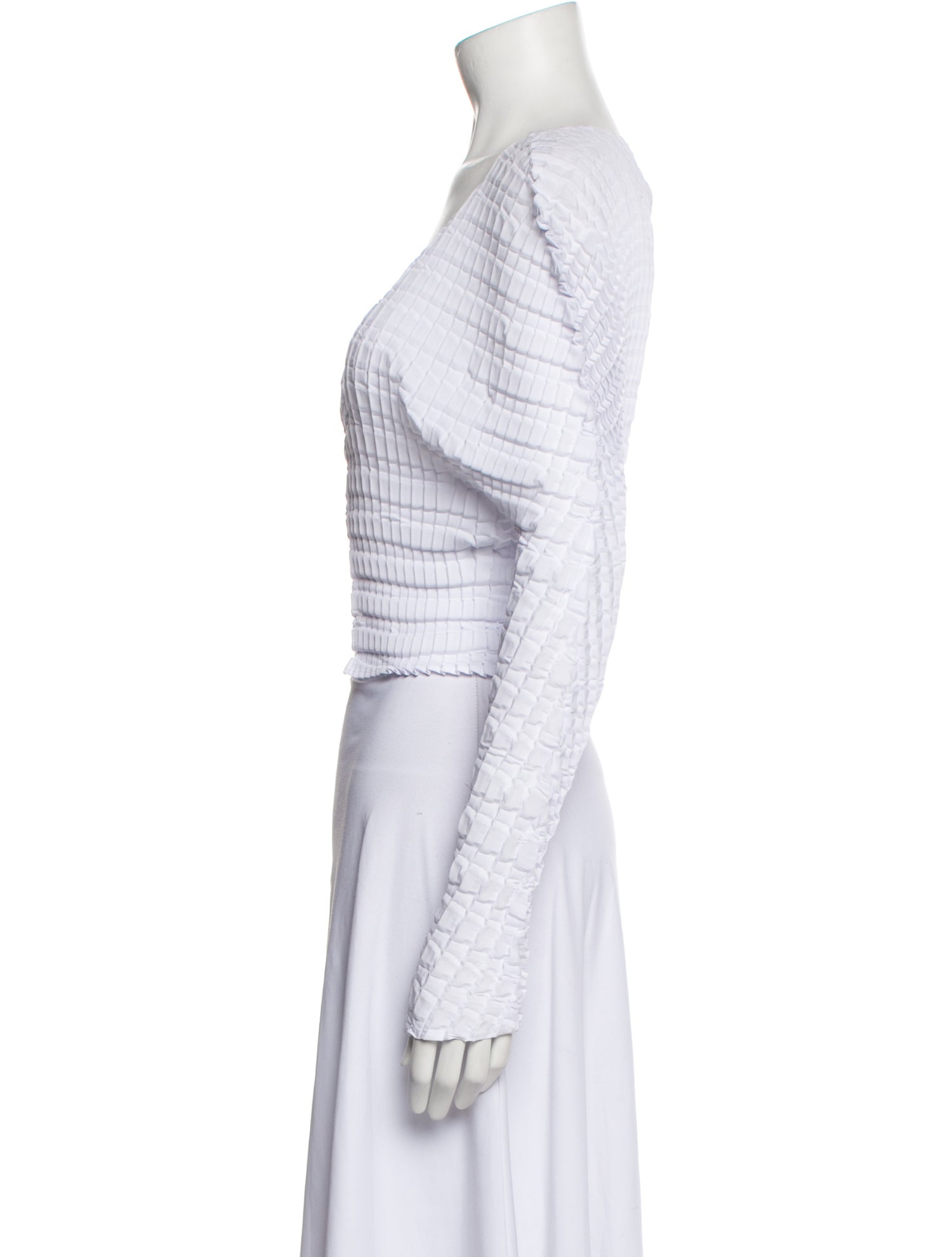 Sid Neigum Plunge Neckline Long Sleeve Crop Top