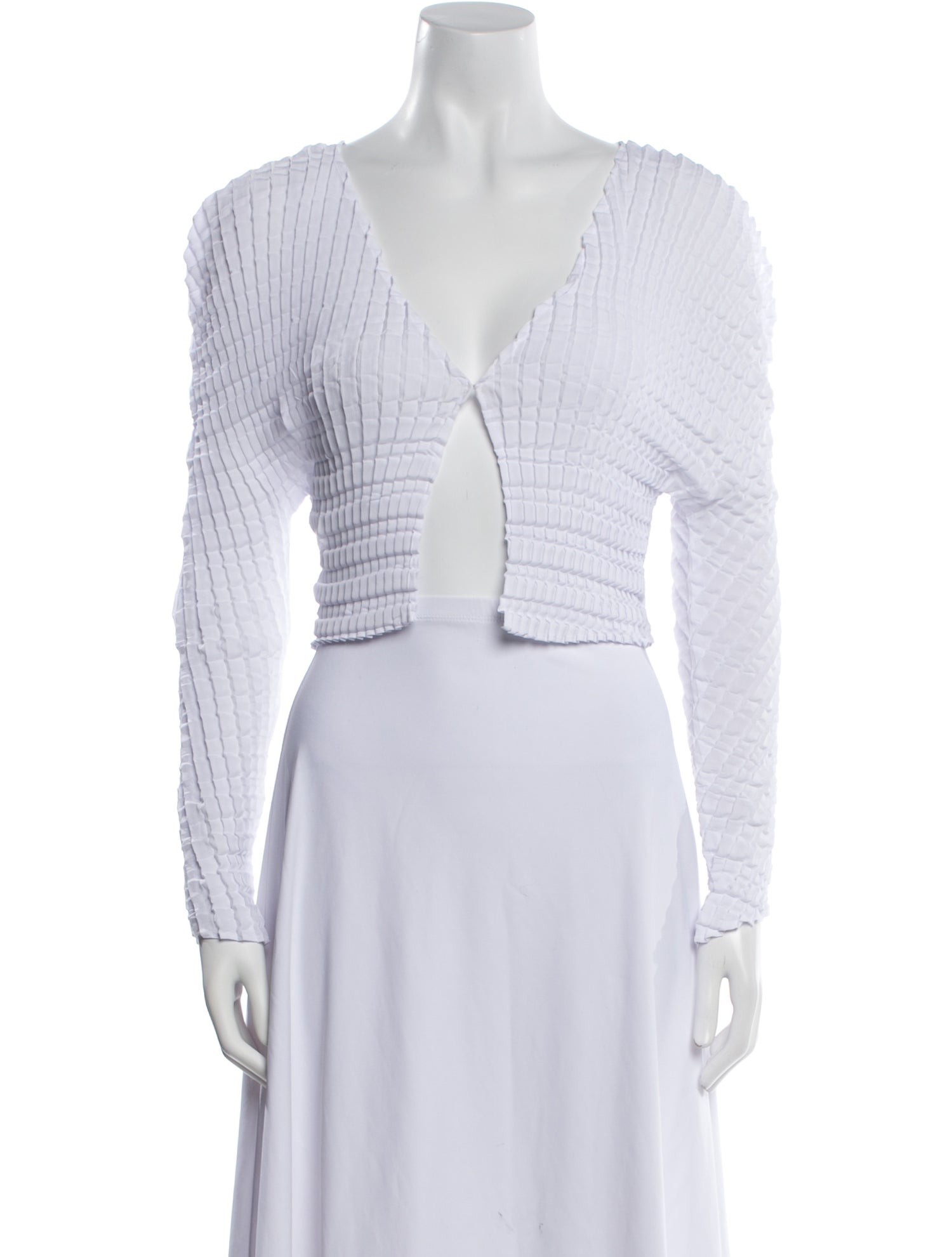 Sid Neigum V-Neck Long Sleeve Crop Top