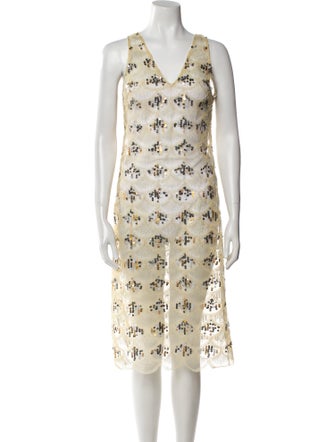 SIEDRÉS Mesh Midi Length Dress