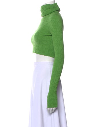 Sonia Carrasco Wool Turtleneck Crop Top