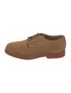 Sebago Suede Eyelet Trim Brogues