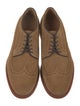 Sebago Suede Eyelet Trim Brogues