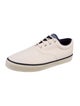Sebago Canvas Sneakers