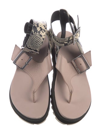 Sorel Embossed Leather Gladiator Sandals