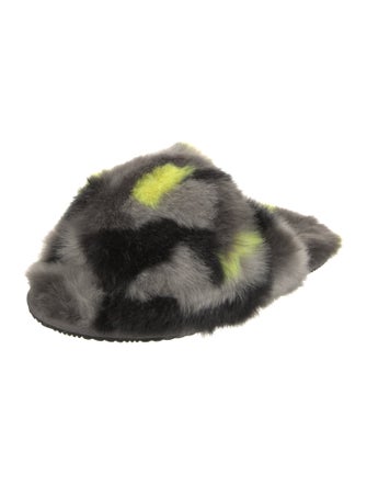 Sorel Printed Slides