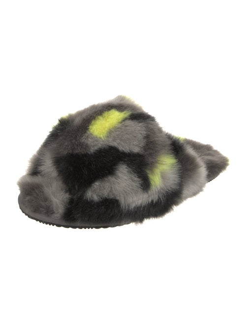 Sorel Printed Slides