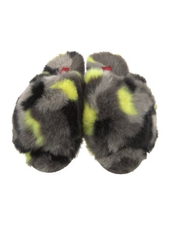 Sorel Printed Slides