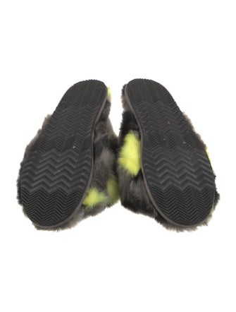 Sorel Printed Slides